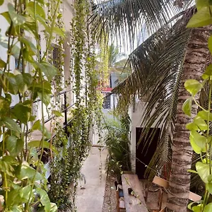 Anana Coliving , Playa del Carmen México