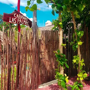 Palmas , Bacalar México